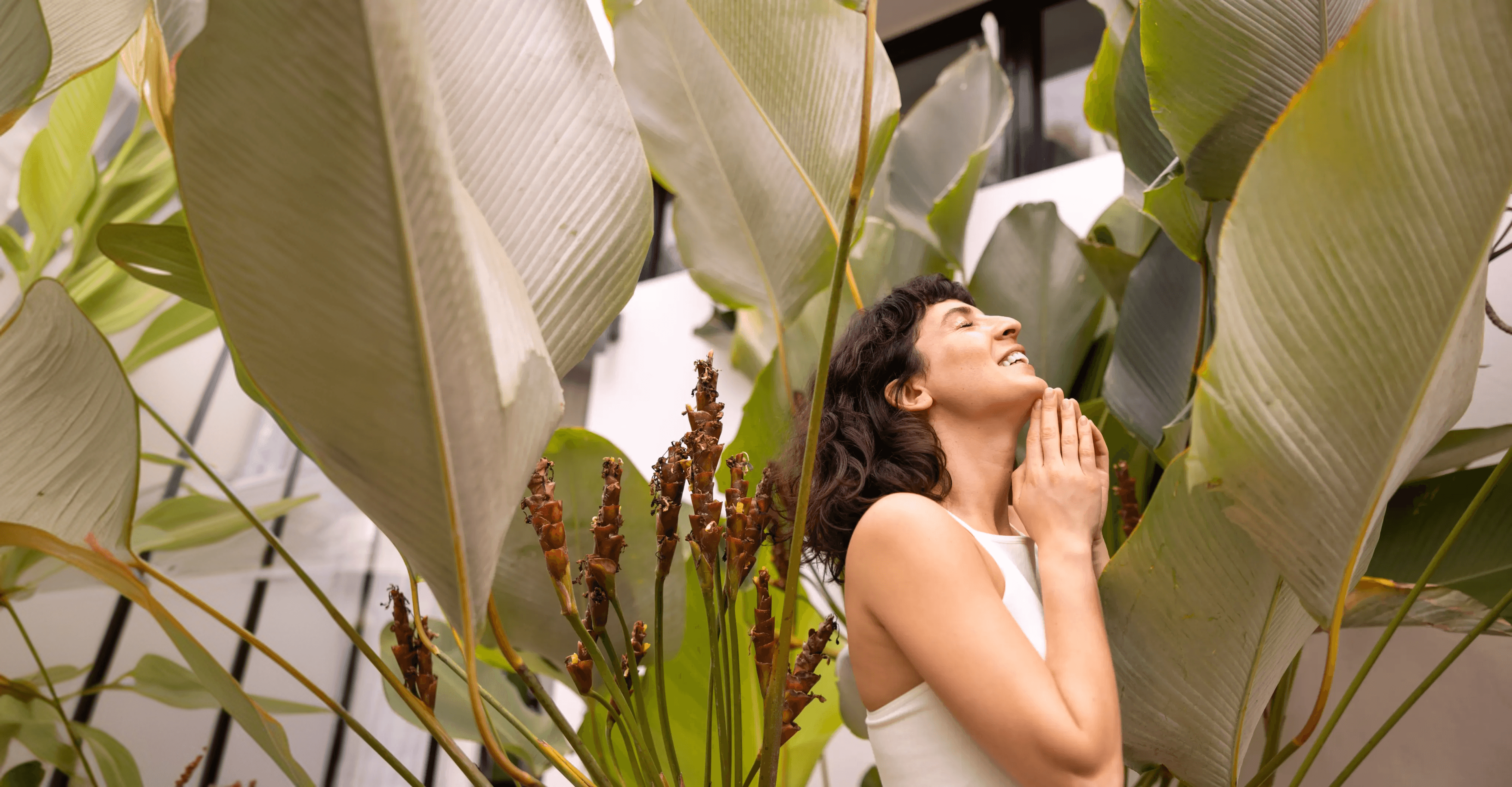 Wellness essentials